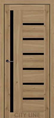 Міжкімнатні двері City Line Amadea 02398 фото | Korfad
