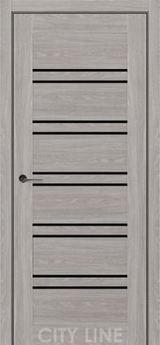 Міжкімнатні двері City Line Terenza 02412 фото | Korfad